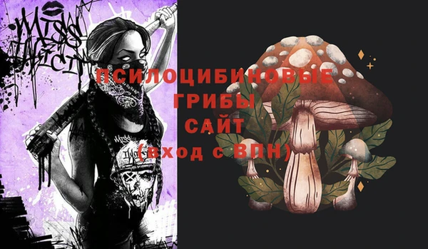 PSILOCYBIN Богданович